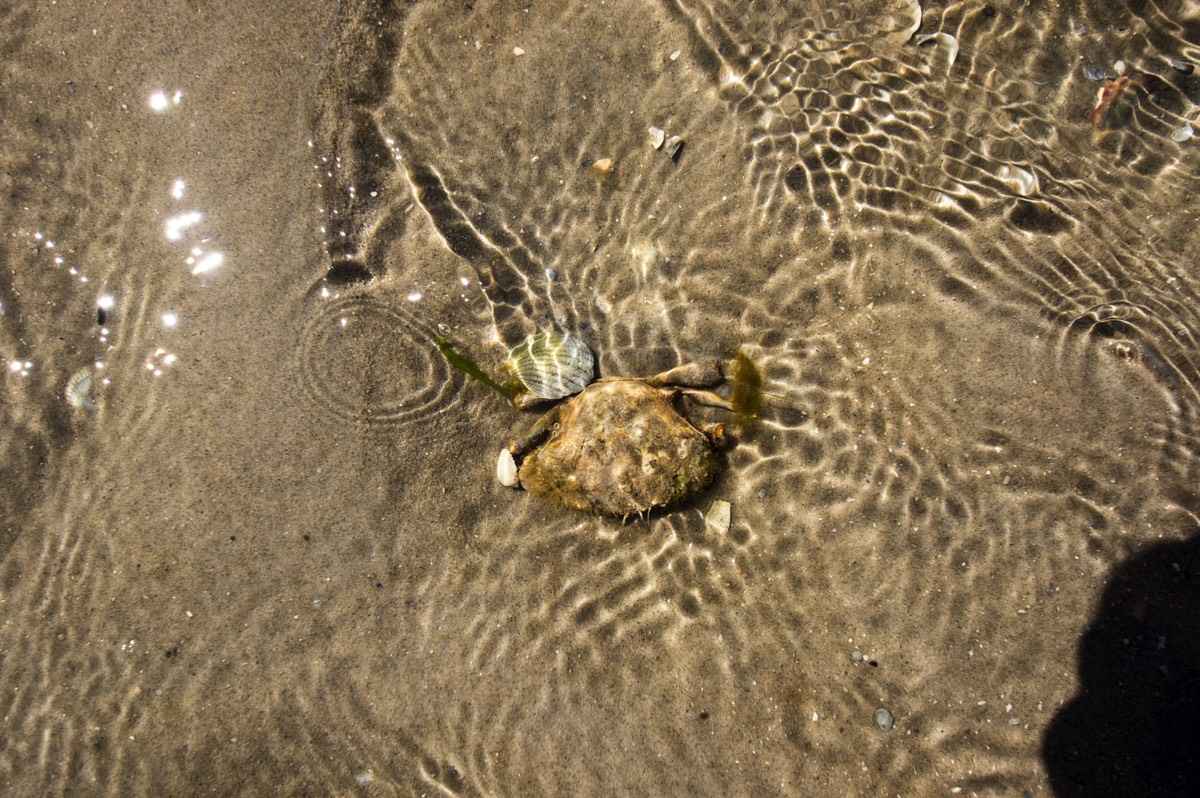 Stacks Image 67